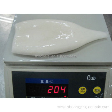 Best Quality Frozen Squid Tube Price For Export